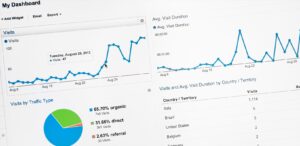 Tela com o google analytics